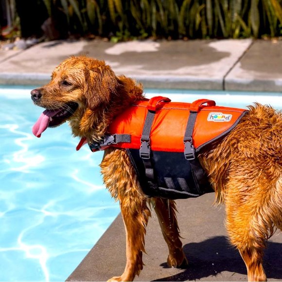 Outward Hound Other - Outward Hound Granby Splash Orange Dog Life Jacket XL